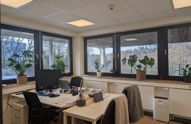 Raum mit Schreibtischen und Festnern über Eck mit Blick in die Bäume